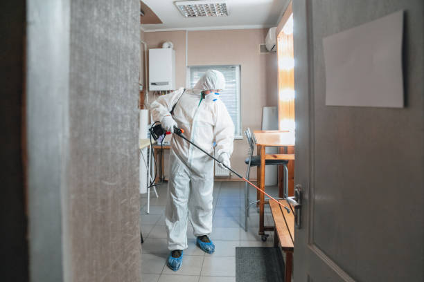 Environmental Consulting for Mold Prevention in Benton Heights, MI