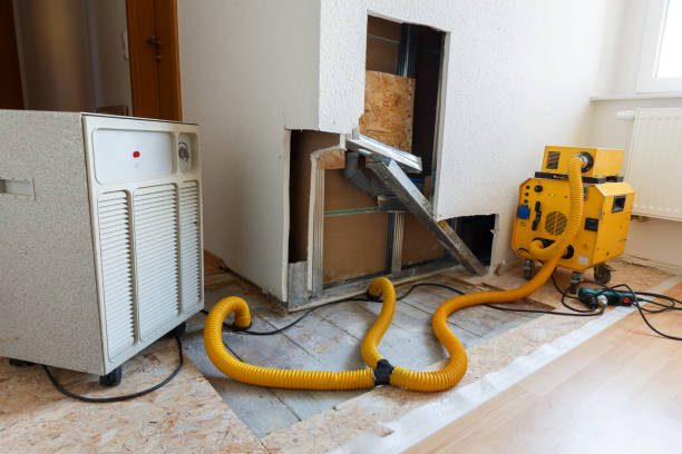 Best Airborne Mold Testing  in Benton Heights, MI
